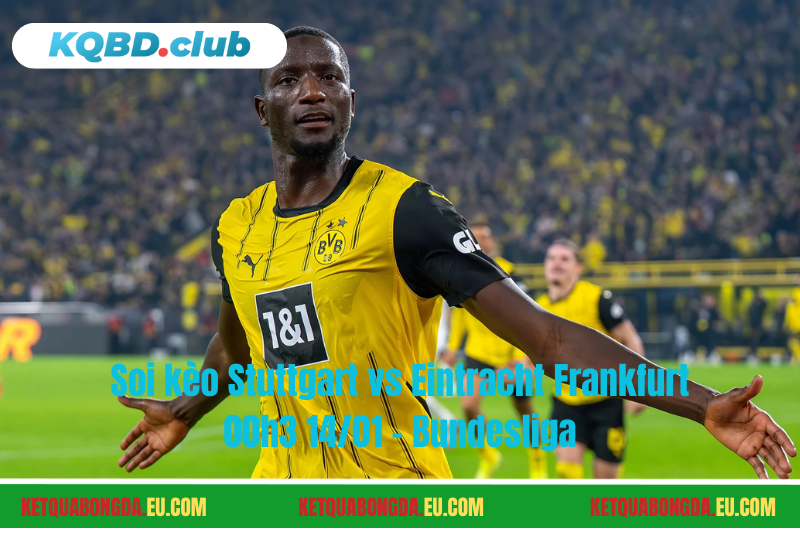 Đội hình dự kiến trước trận Dortmund vs Werder Bremen Đội hình dự kiến trước trận Dortmund vs Werder Bremen