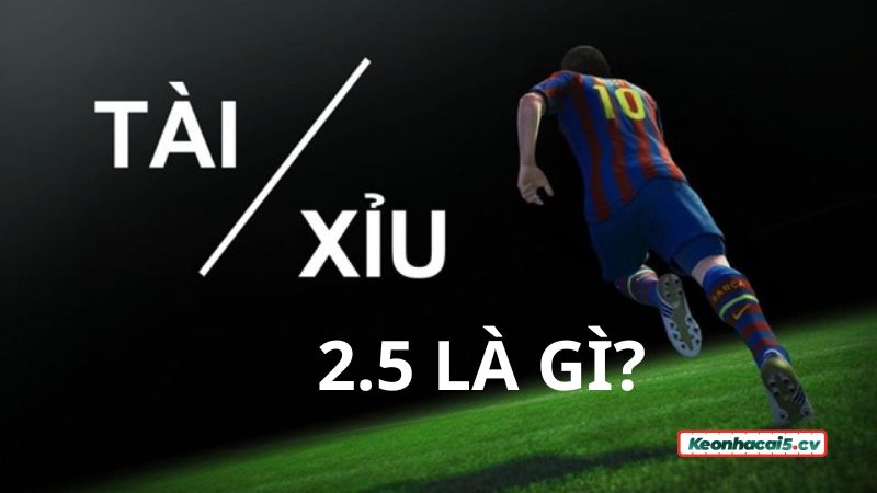Hiểu đúng kèo Tài Xỉu 2.5 là gì? Hiểu đúng kèo Tài Xỉu 2.5 là gì?