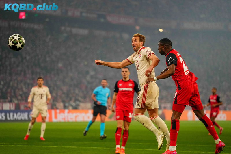 Đội hình dự kiến trước trận Bayer Leverkusen vs Bayern Munich Đội hình dự kiến trước trận Bayer Leverkusen vs Bayern Munich